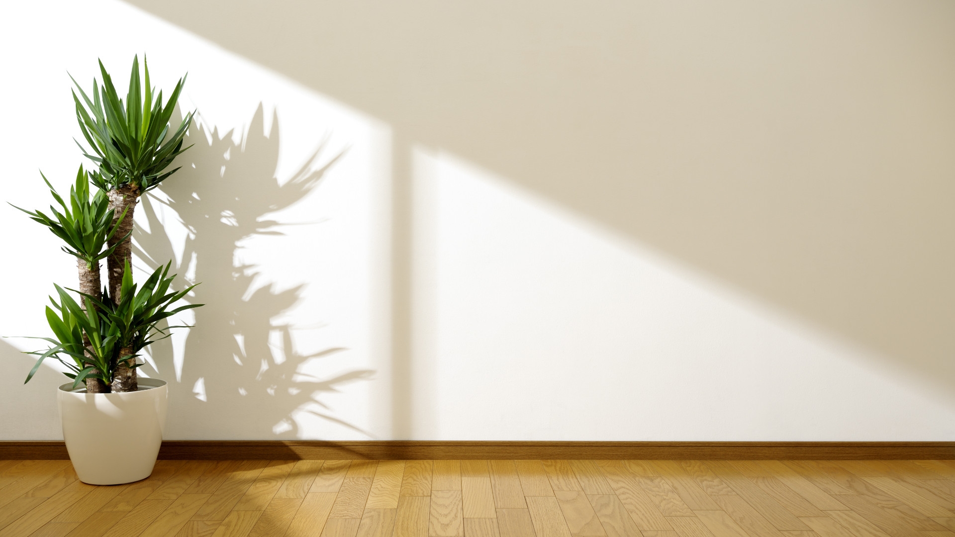 background-image